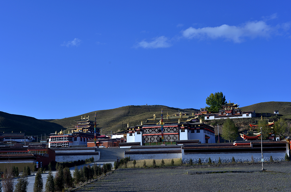 DSC_8896.JPG