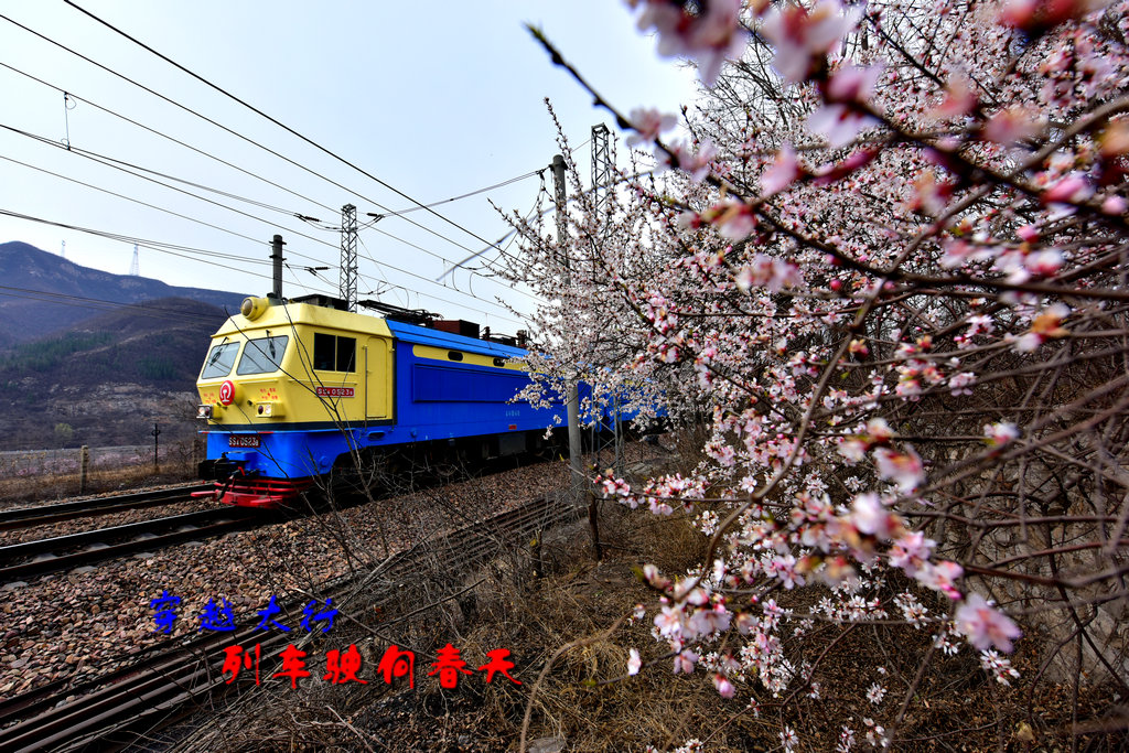 2016-03-28ʻг 052_ - .jpg