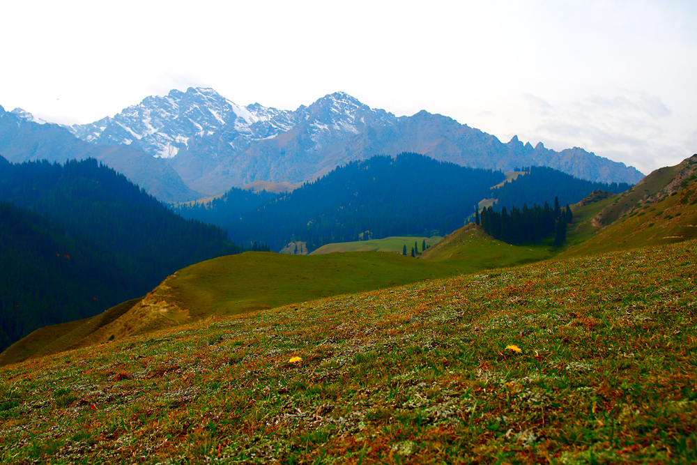 IMG_2164.jpg