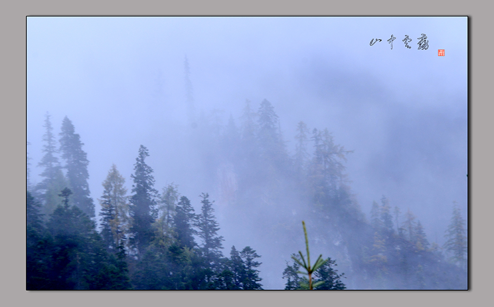 DSC_9013.JPG