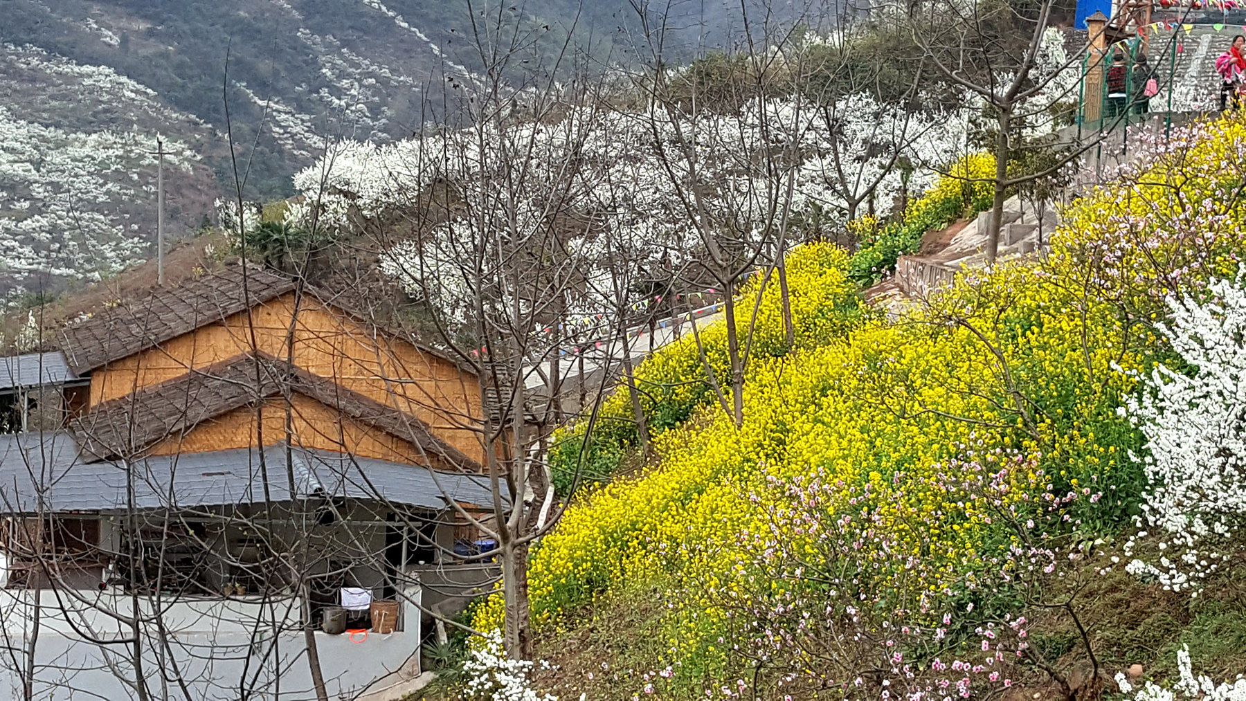 20160308_113636_.jpg