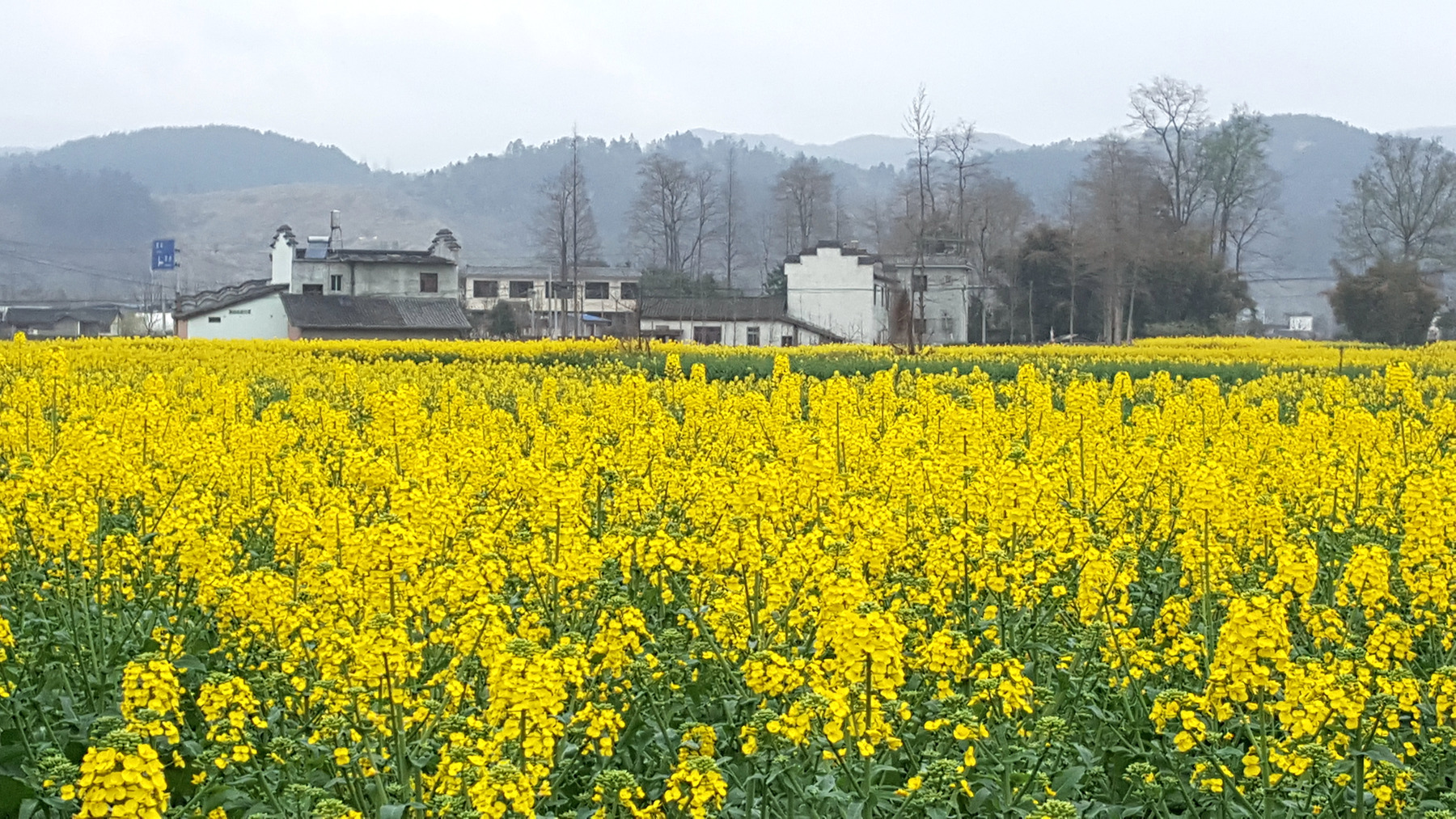20160308_134503_.jpg