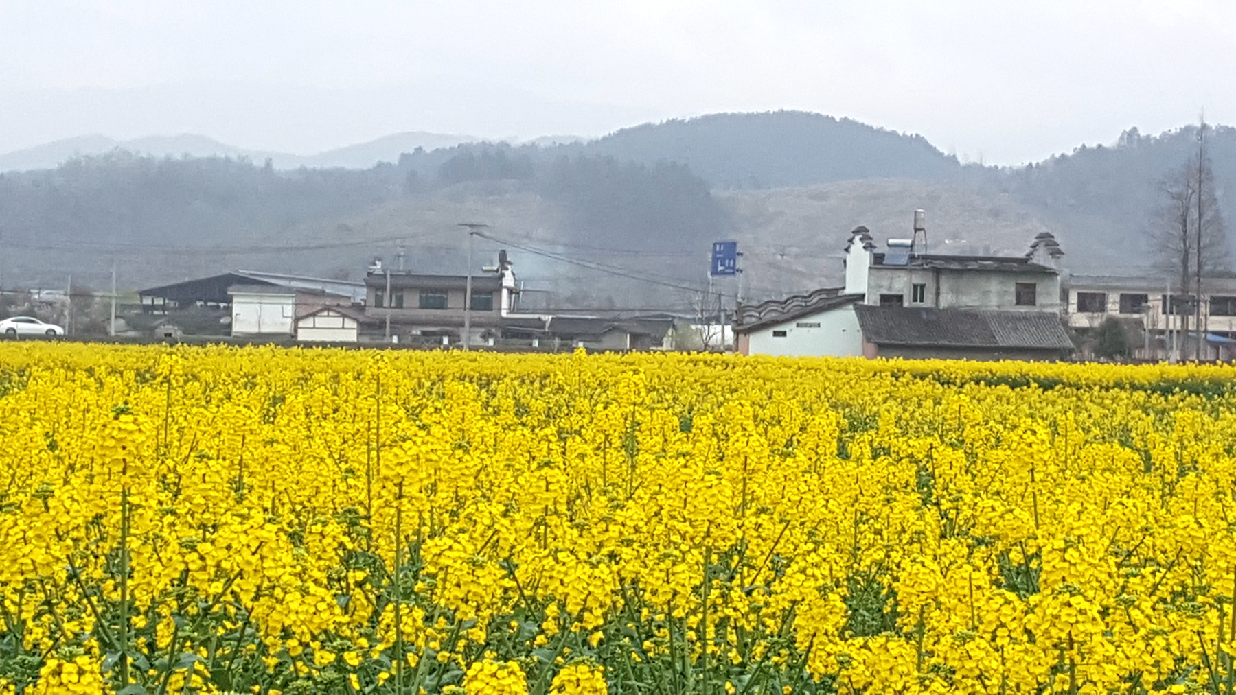 20160308_134522_001_.jpg