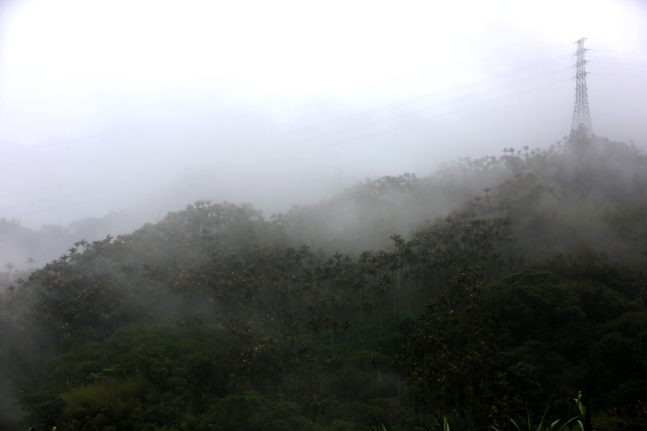 CC5A8468.2600.jpg