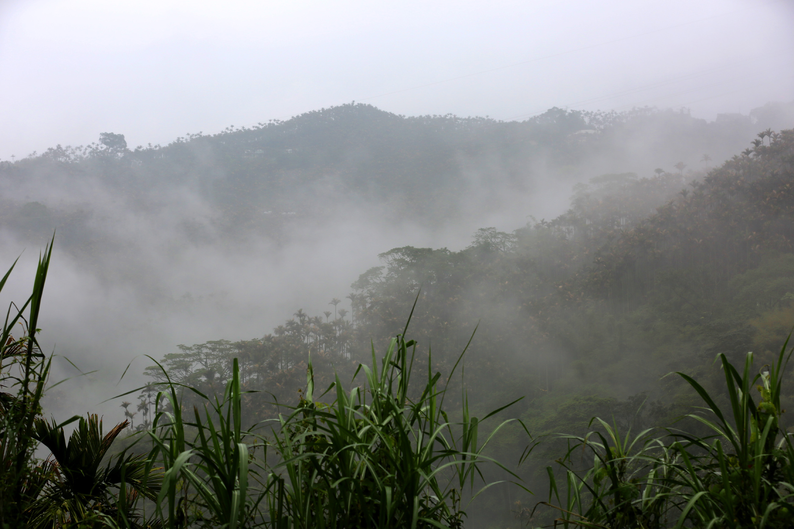CC5A8472.2600.jpg