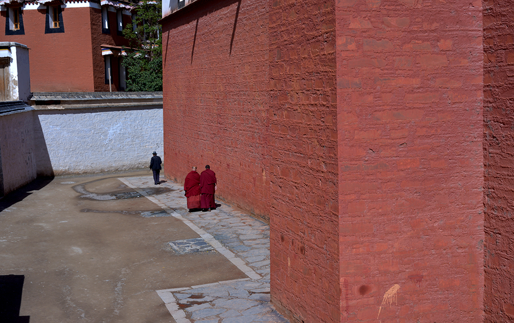 DSC_8818.JPG