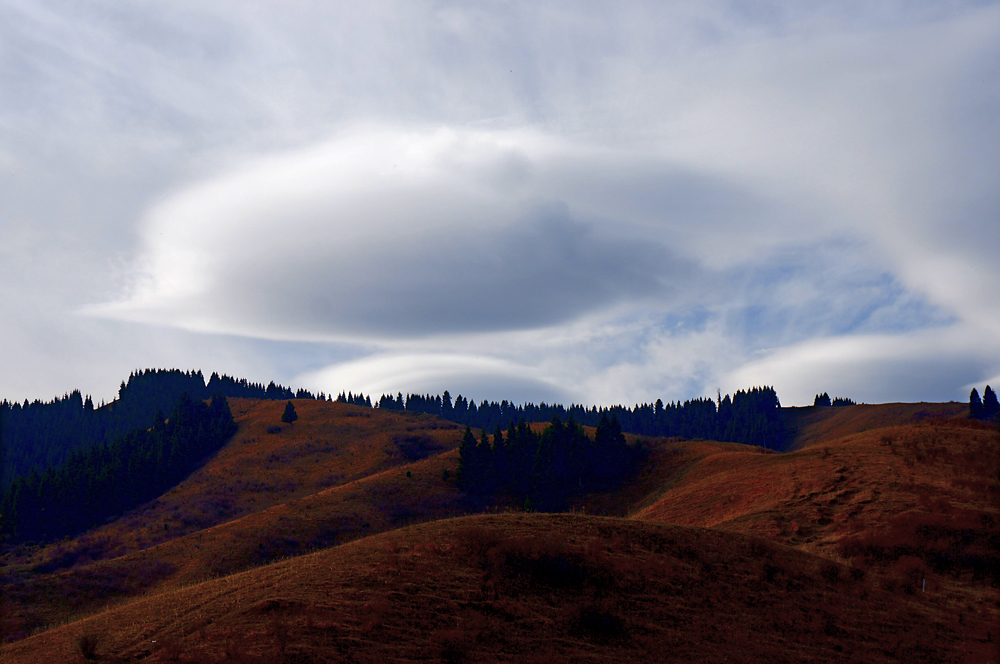 DSC01153.jpg