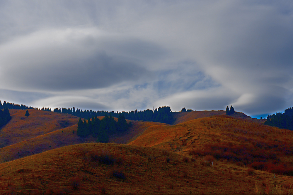 DSC01154.jpg