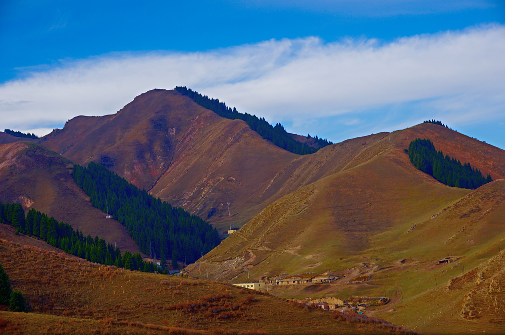 DSC01174.jpg