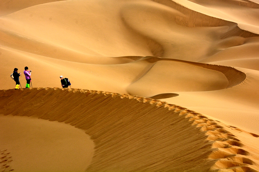 ۷ưղ翴ӻ 338__.jpg