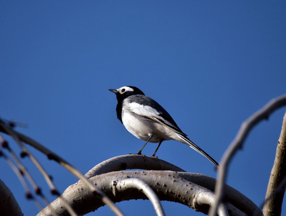 DSC_4389__.jpg