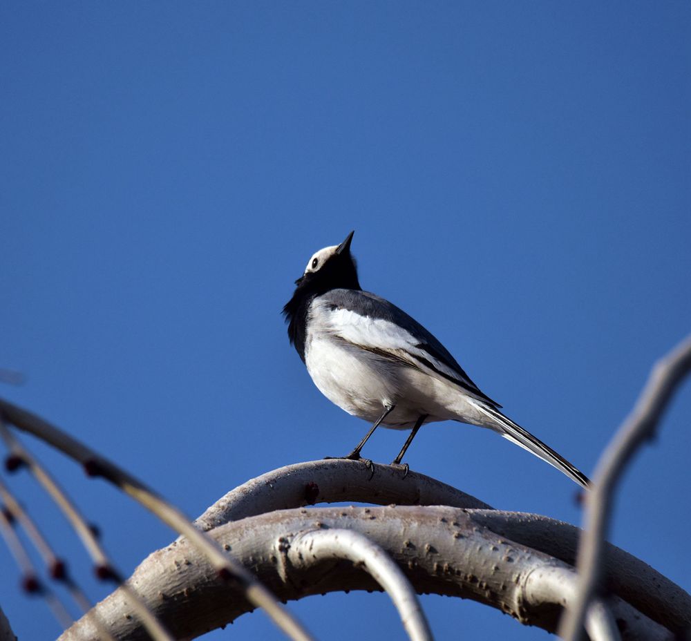 DSC_4391__.jpg