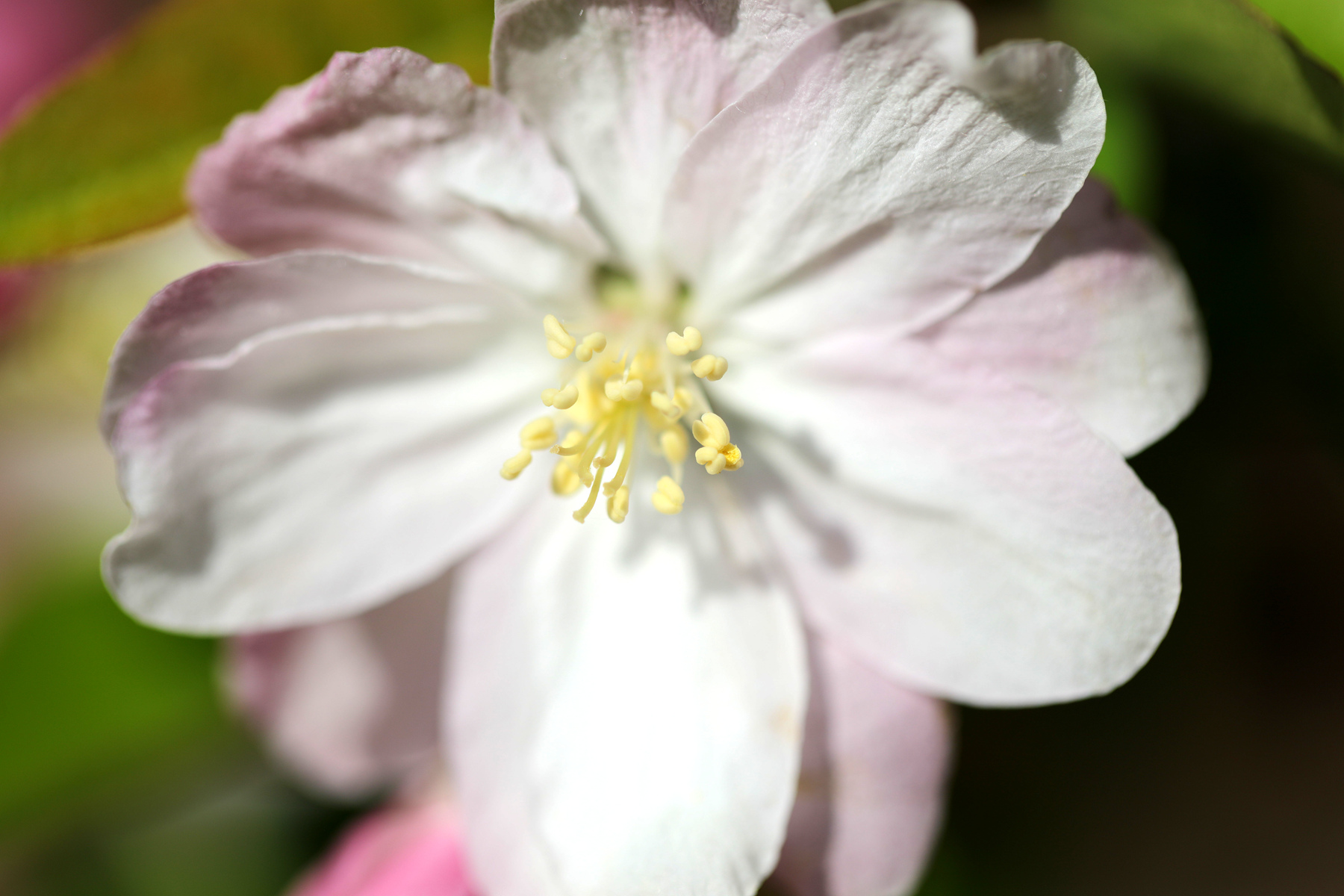 0C2A4927_.jpg