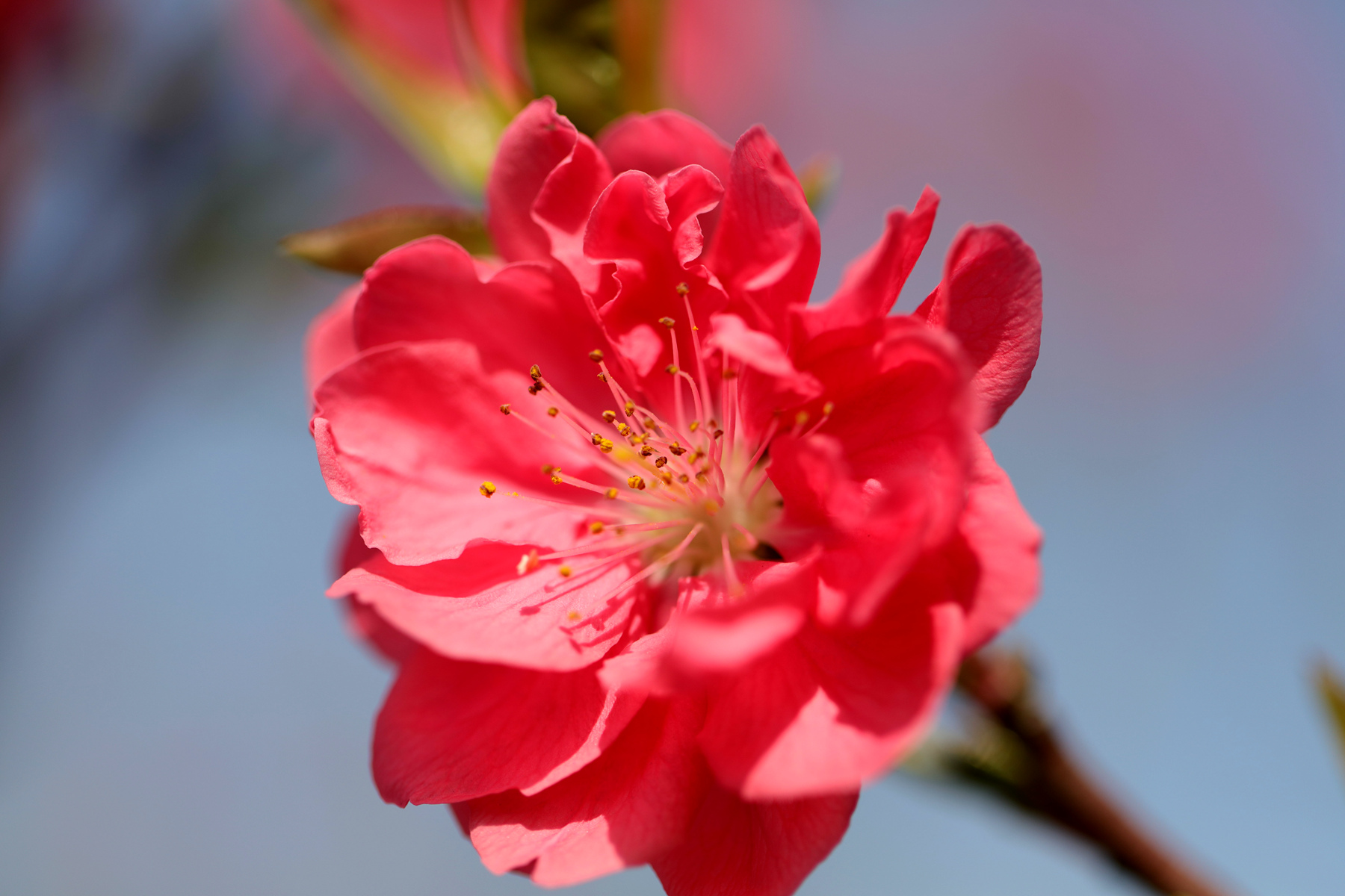 0C2A4979_.jpg
