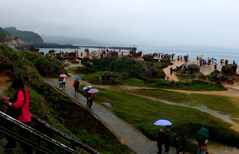 P1140288.800w.jpg