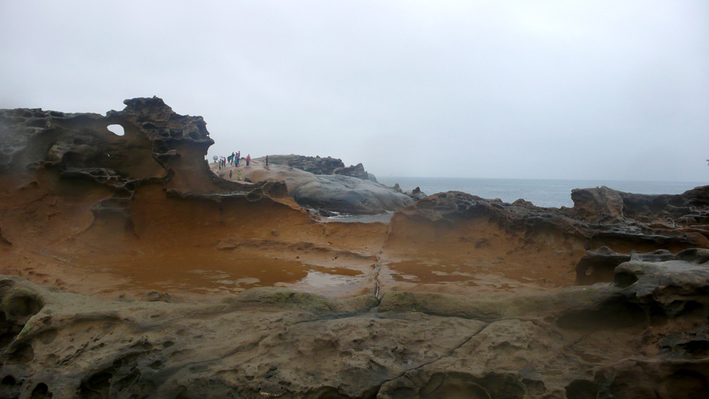 P1140315.1000w.jpg
