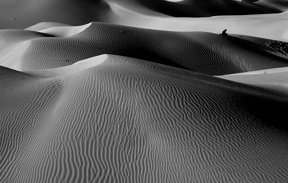 DSC_4022.JPG