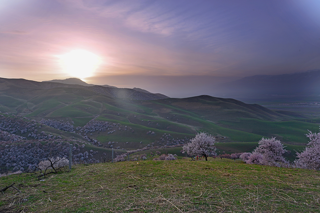 DSC_3903.JPG