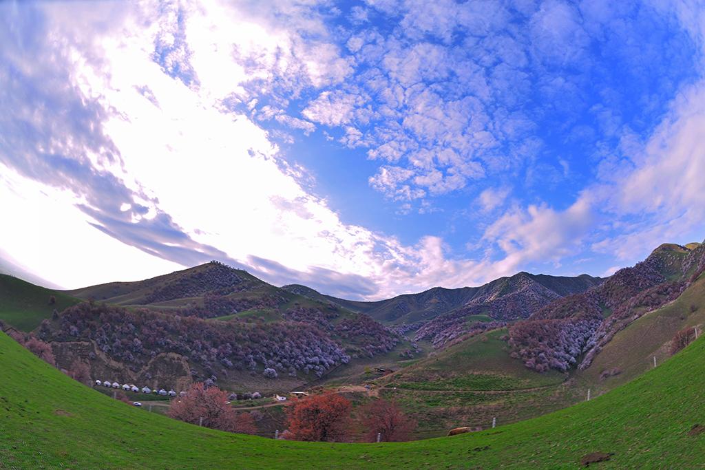 DSC_3982.JPG