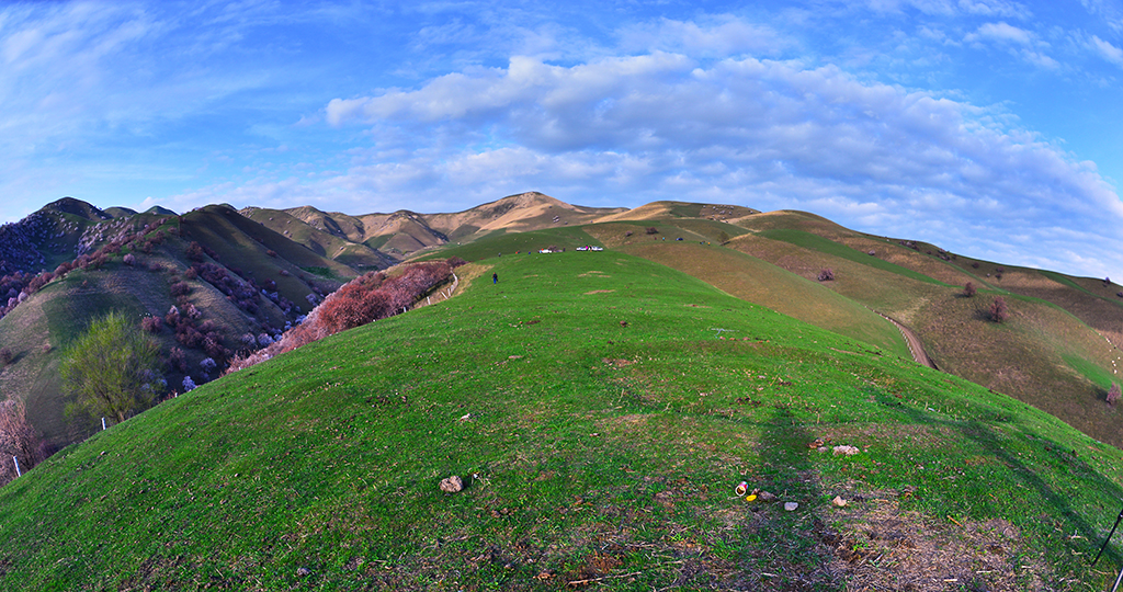 DSC_3994.JPG