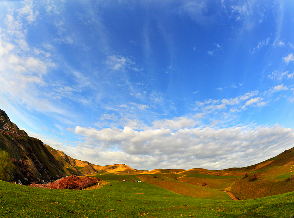 DSC_3995.JPG