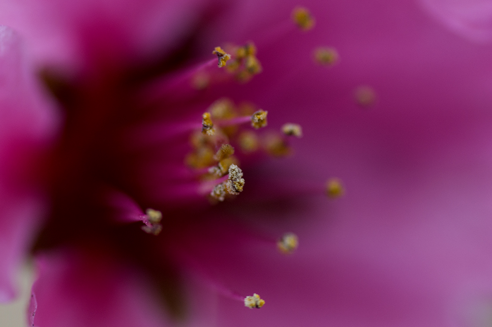 DSC_0038.jpg