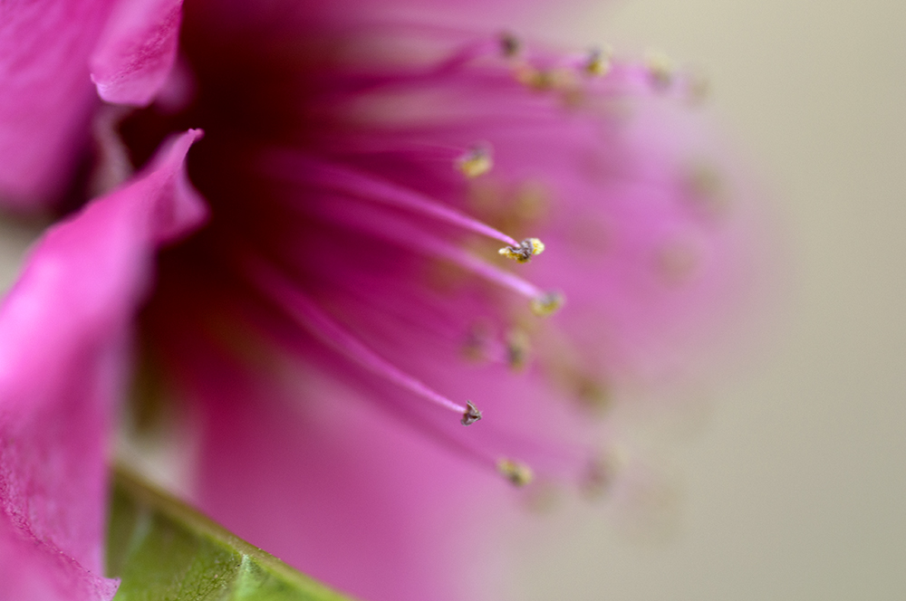 DSC_0044.jpg