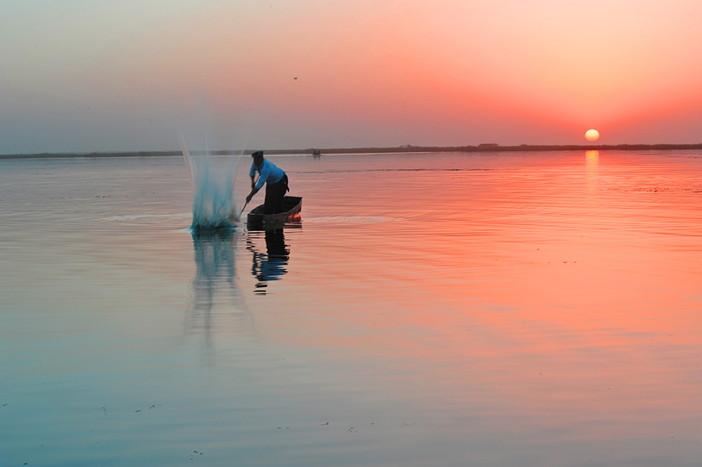 DSC_7734.JPG