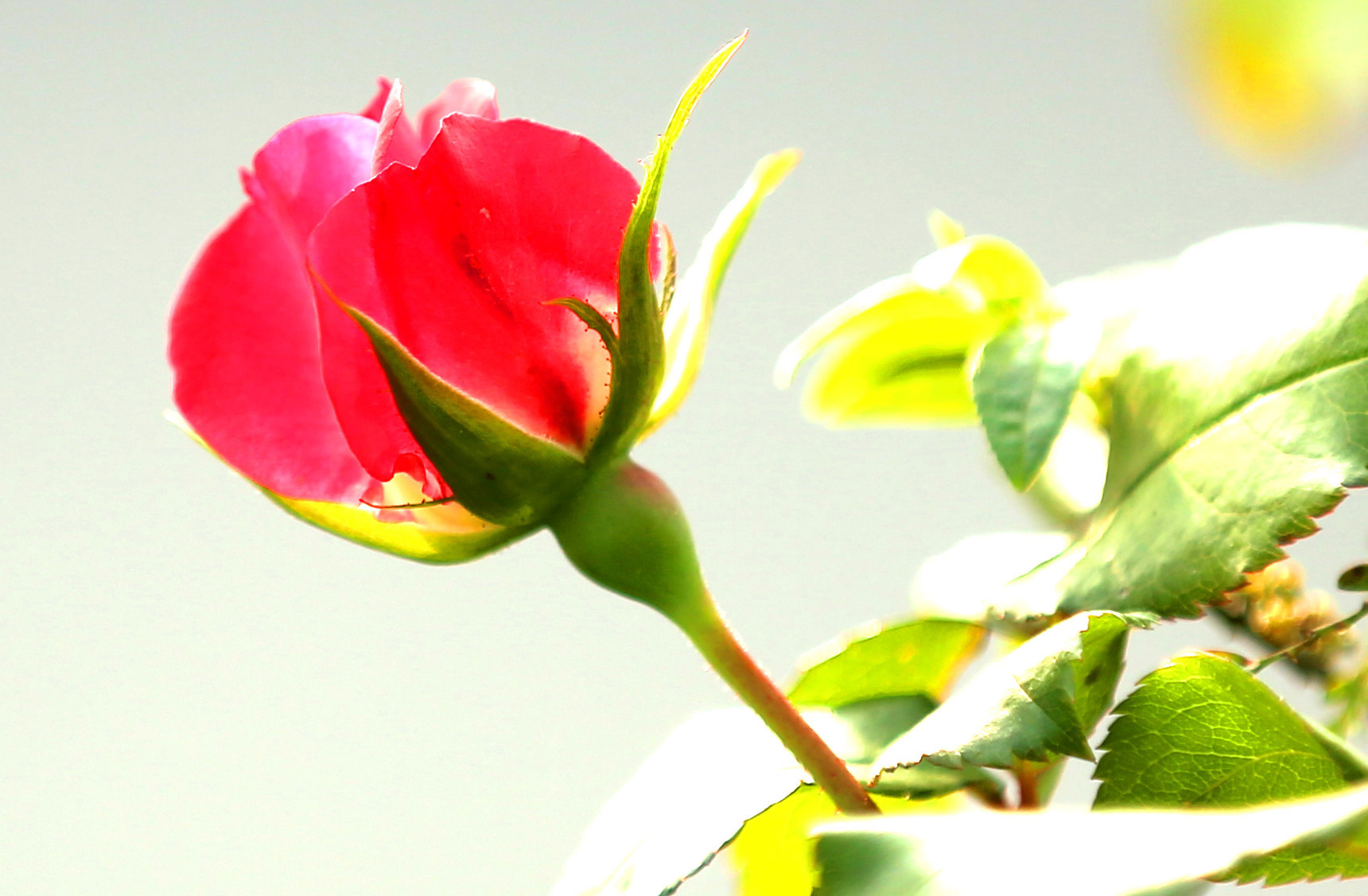 CC5A8371.jpg2.jpg