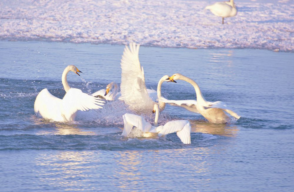DSC_3379__.jpg