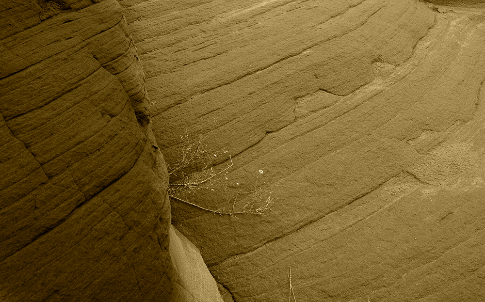 DSC_0024.jpg
