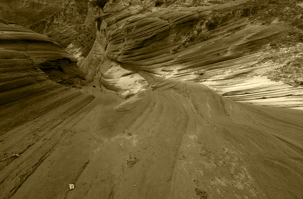 DSC_1534.JPG