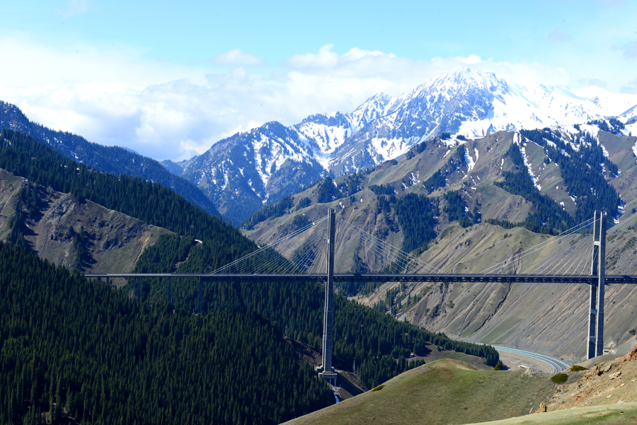 ·_03251.jpg