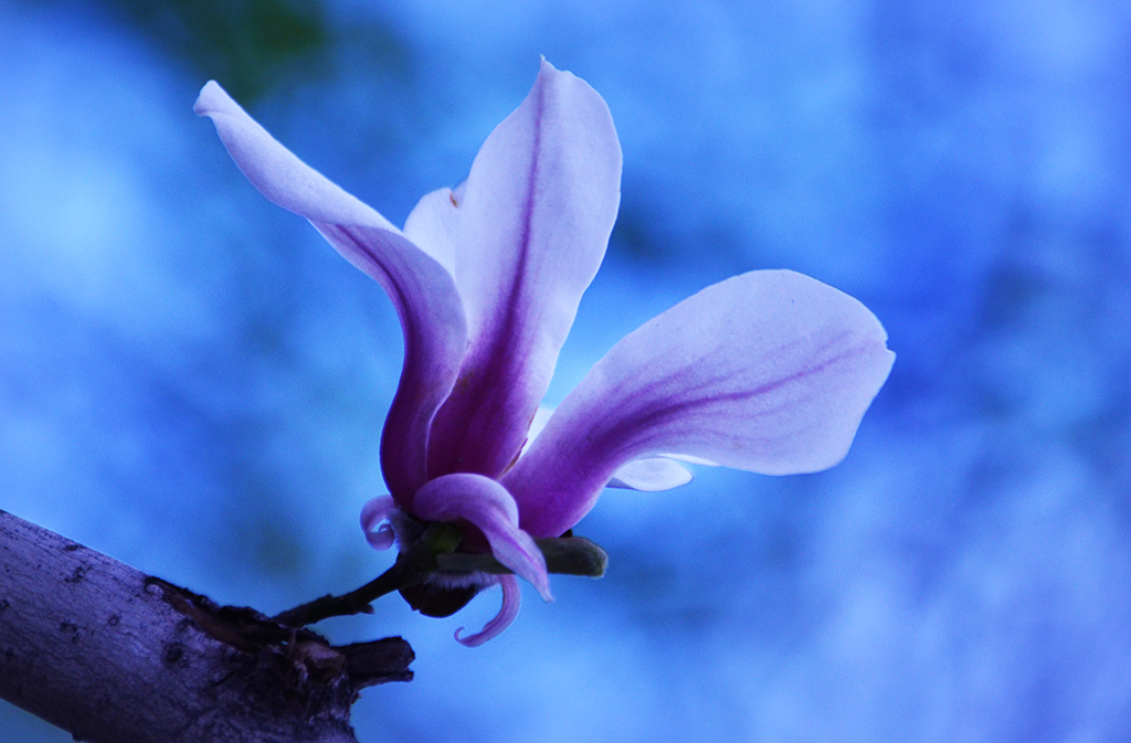 DSC_6721.JPG