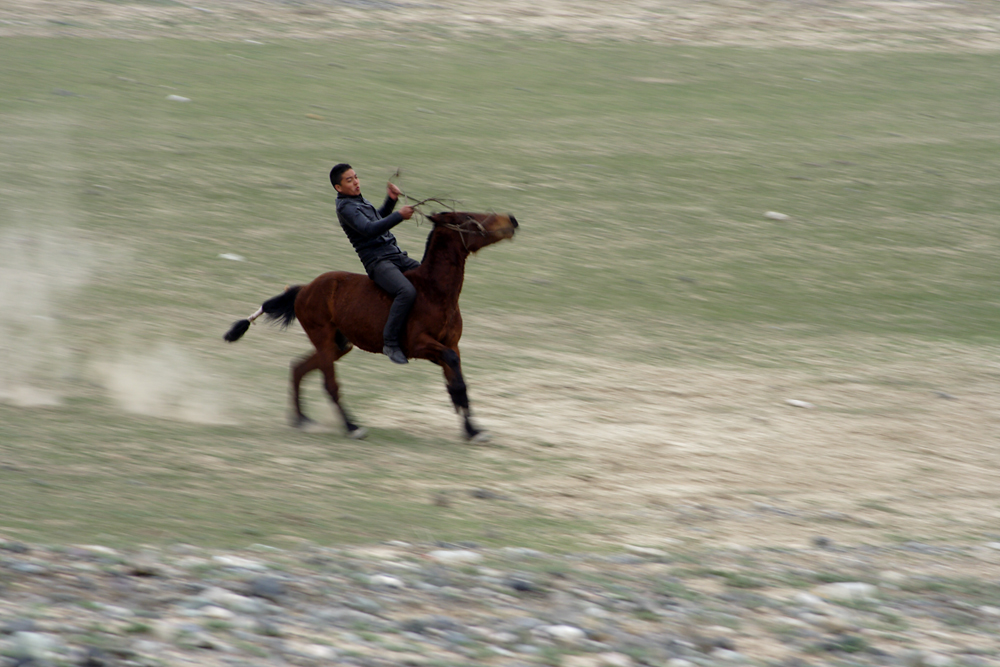 IMG_8603.jpg