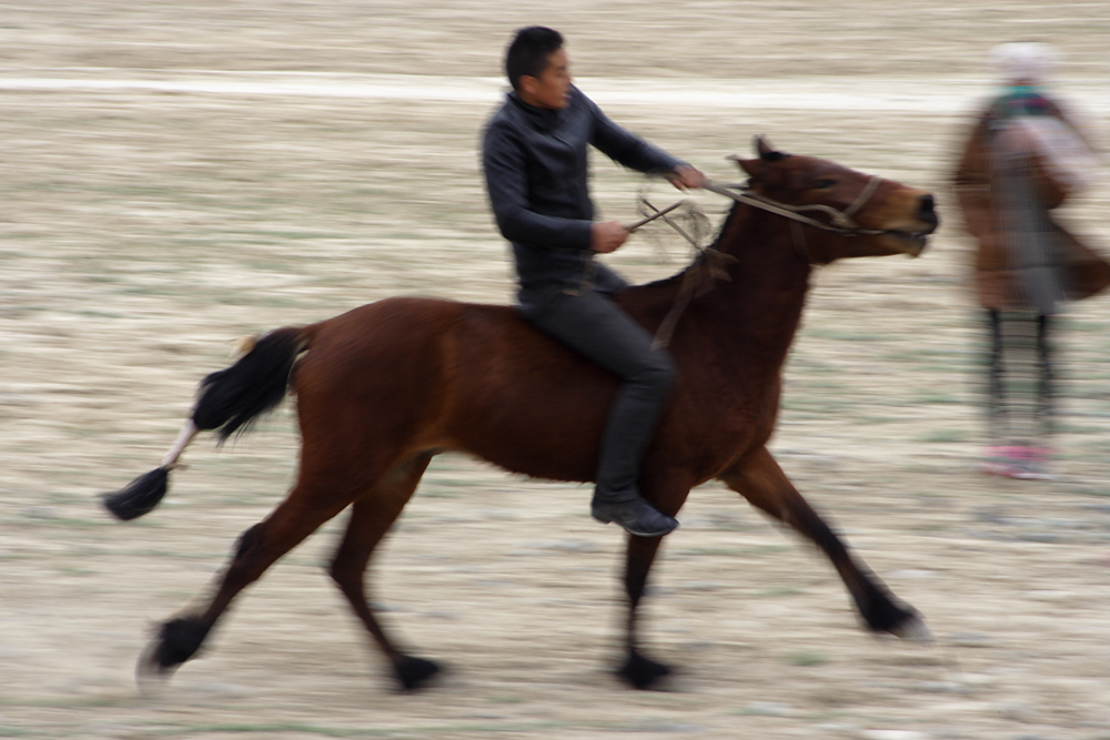 IMG_8606.jpg
