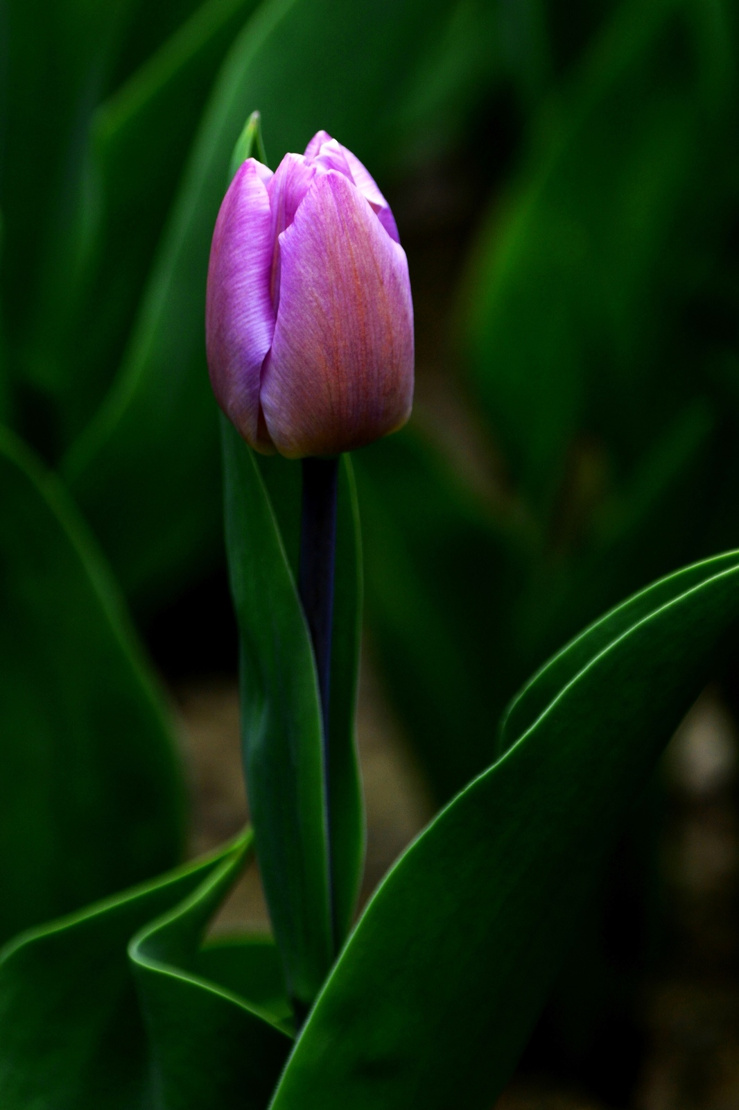 nEO_IMG__DSC0896.jpg
