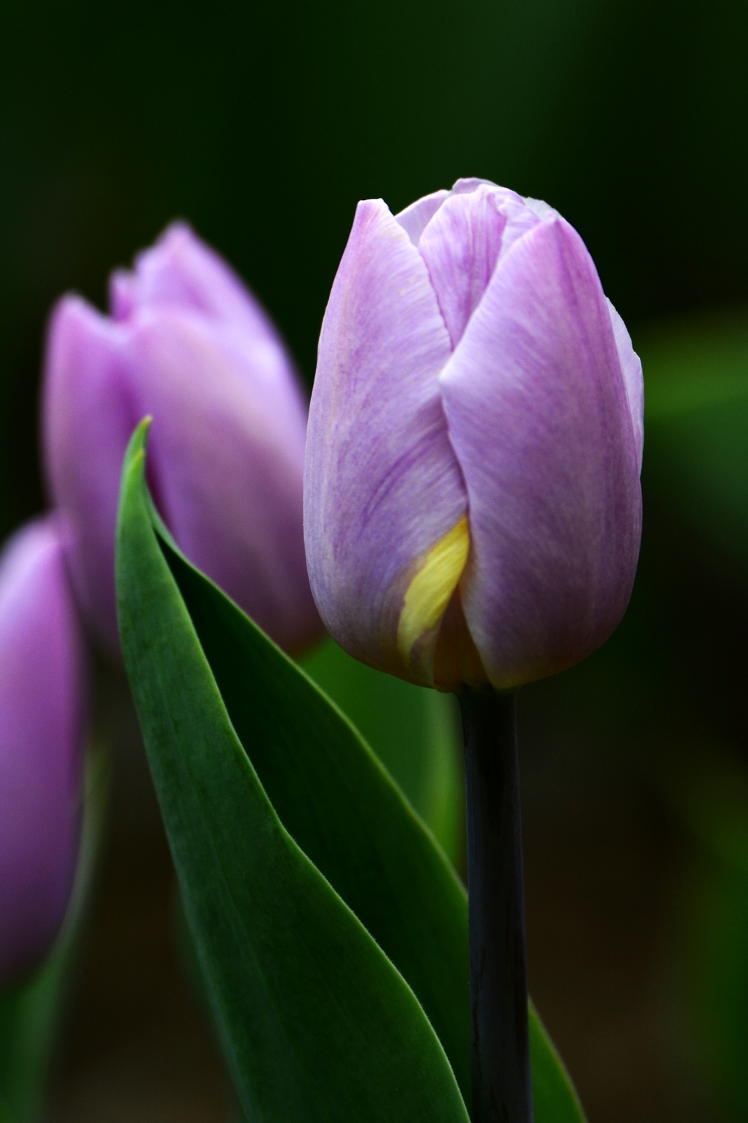 nEO_IMG__DSC0893.jpg