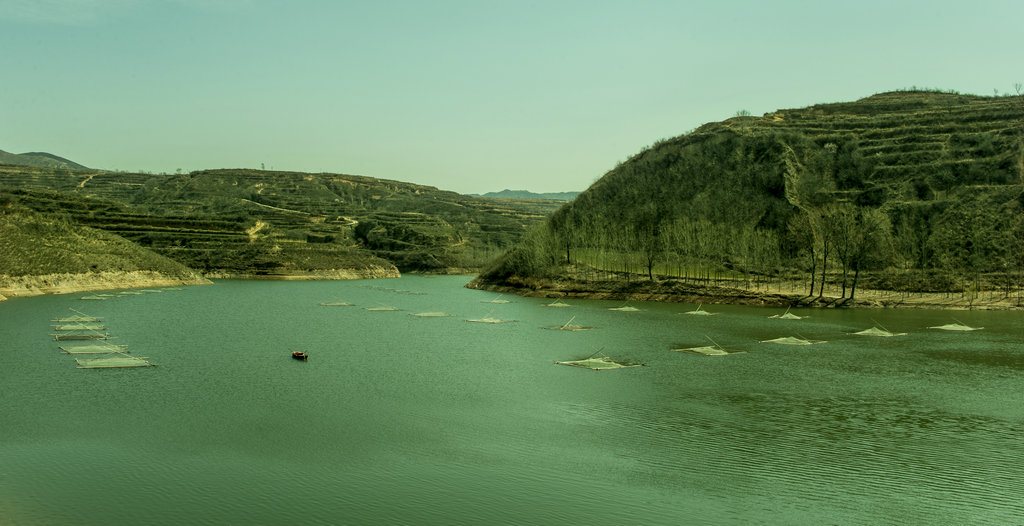 DSC_6172-ָ.jpg