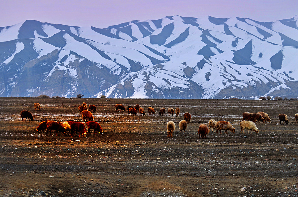 DSC_6473.JPG