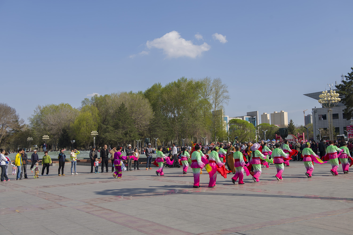 _DSC0844.JPG