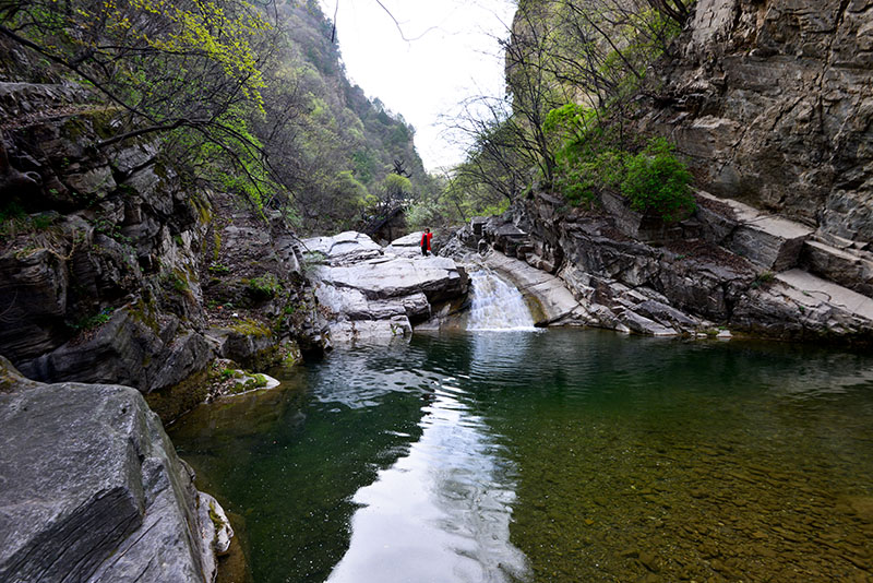 DSC_3518.jpg