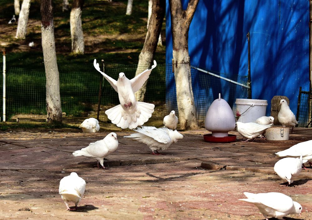 DSC_5153__.jpg