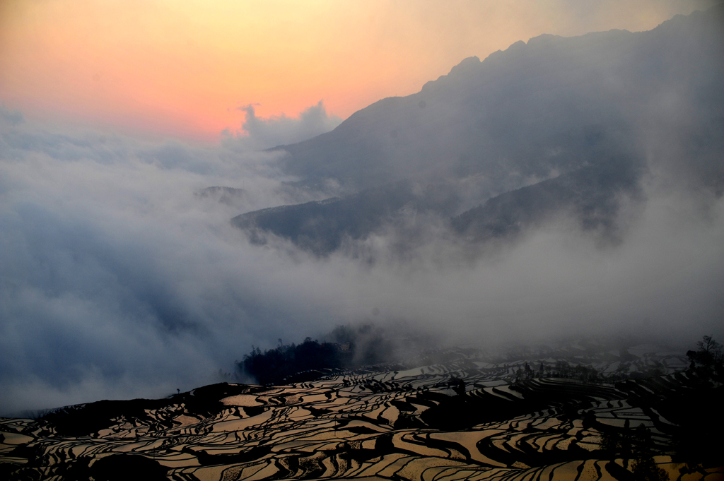 _DSC5026=.jpg