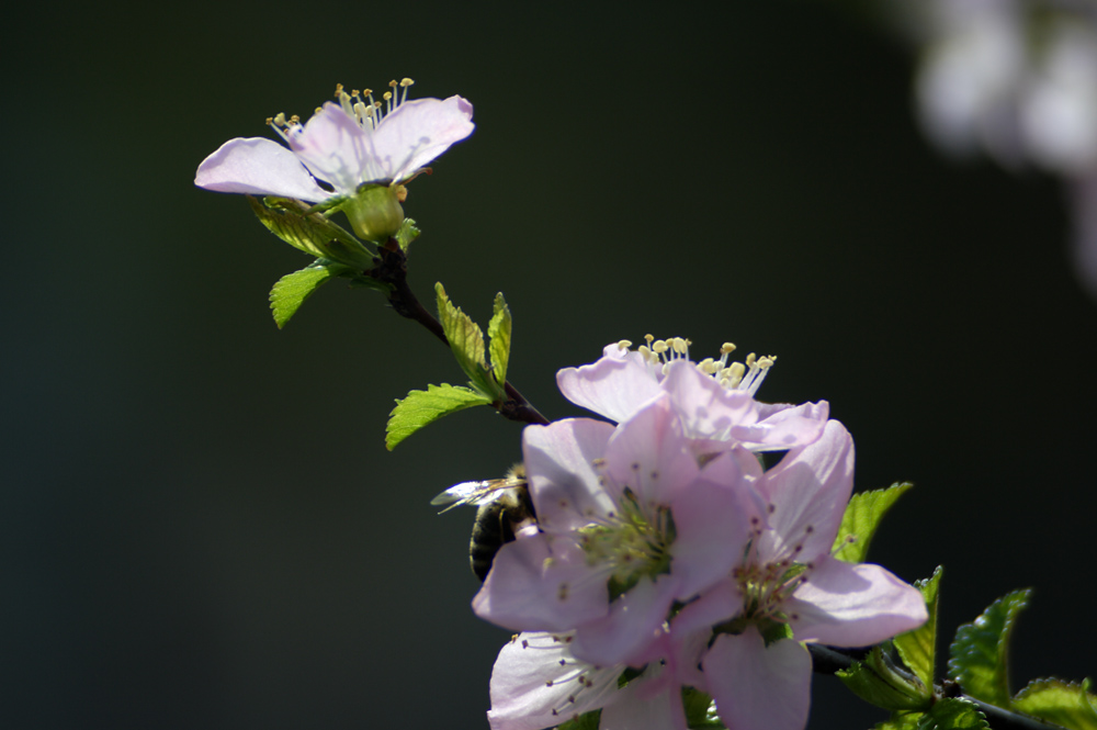 IMG_8738.jpg