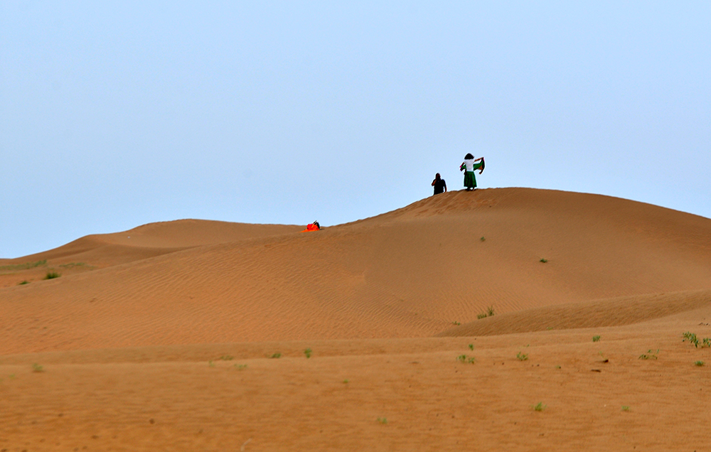 DSC_0130.JPG