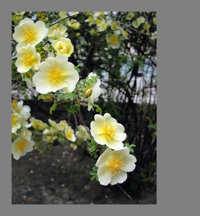 DSC07777_.jpg