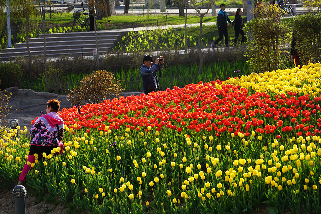 DSC01372.JPG