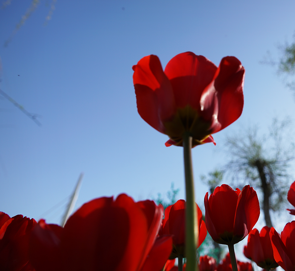 DSC01352.JPG