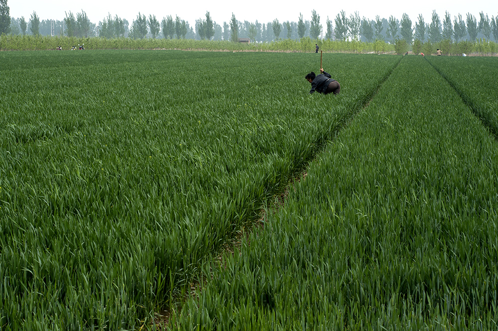 DSC_0030.jpg
